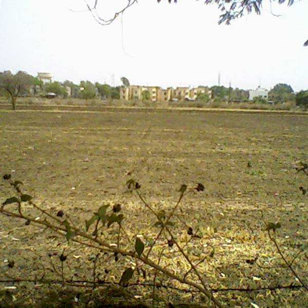 Agricultural/Farm Land for Sale in Pardi, Vapi (3 Acre)