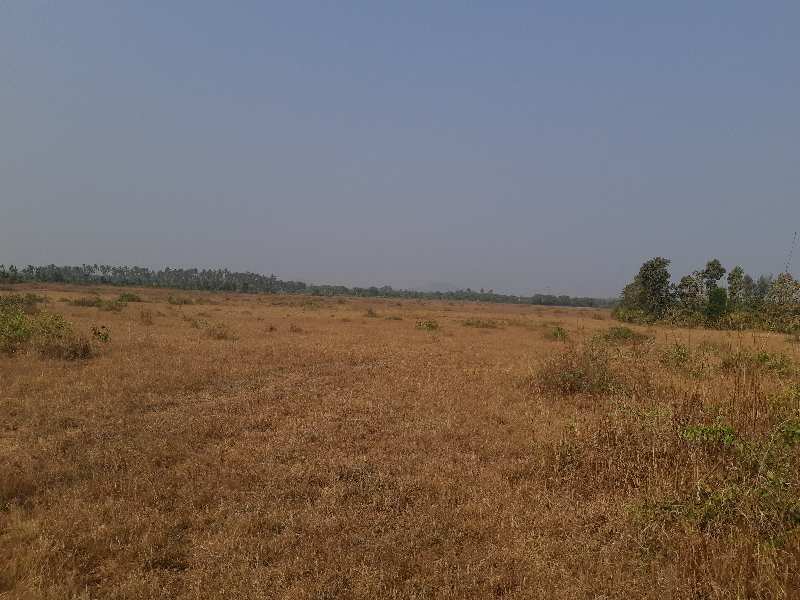 Agricultural/Farm Land for Sale in Gujarat (25 Acre)