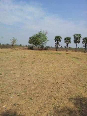 Agricultural/Farm Land for Sale in Pardi, Vapi (16 Acre)