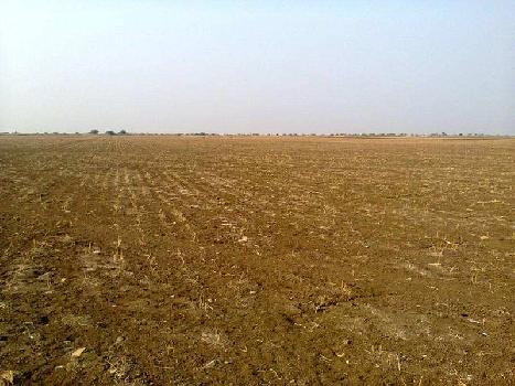 Agricultural/Farm Land for Sale in Sarigam, Valsad (25 Acre)