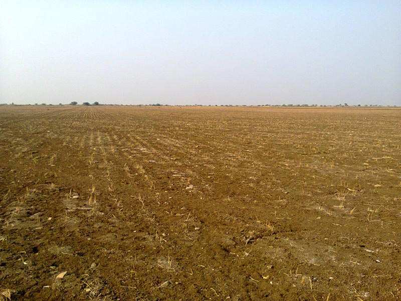 Agricultural/Farm Land for Sale in Sarigam, Valsad (25 Acre)