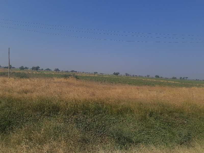 Agricultural/Farm Land for Sale in Dahej GIDC, Bharuch (50 Acre)