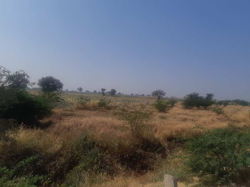 Agricultural/Farm Land for Sale in Dahej Bypass Road, Bharuch (32 Acre)