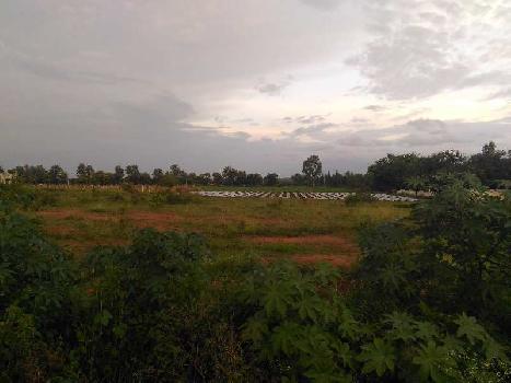 Agricultural/Farm Land for Sale in Bardoli, Surat (150 Bigha)