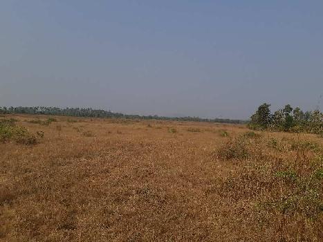Agricultural/Farm Land for Sale in Abdasa, Kutch (54 Acre)