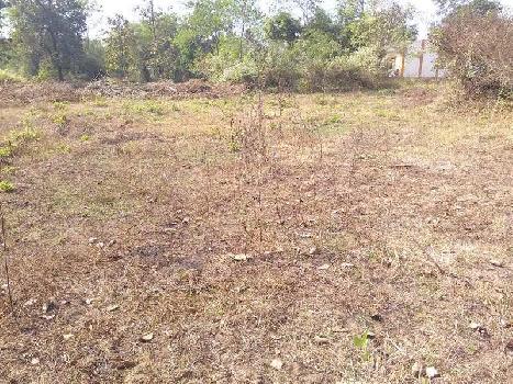 25 Acre Agricultural/Farm Land for Sale in Sarigam, Vapi