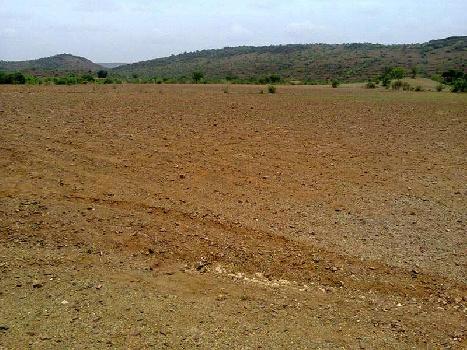 Agricultural/Farm Land for Sale in Gujarat (3.5 Acre)