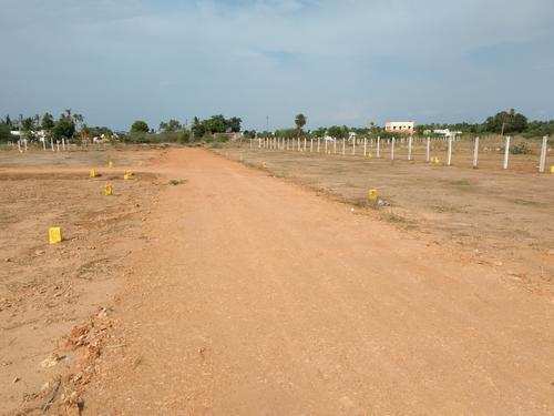 Agricultural/Farm Land for Sale in Jambusar, Bharuch (1500 Acre)