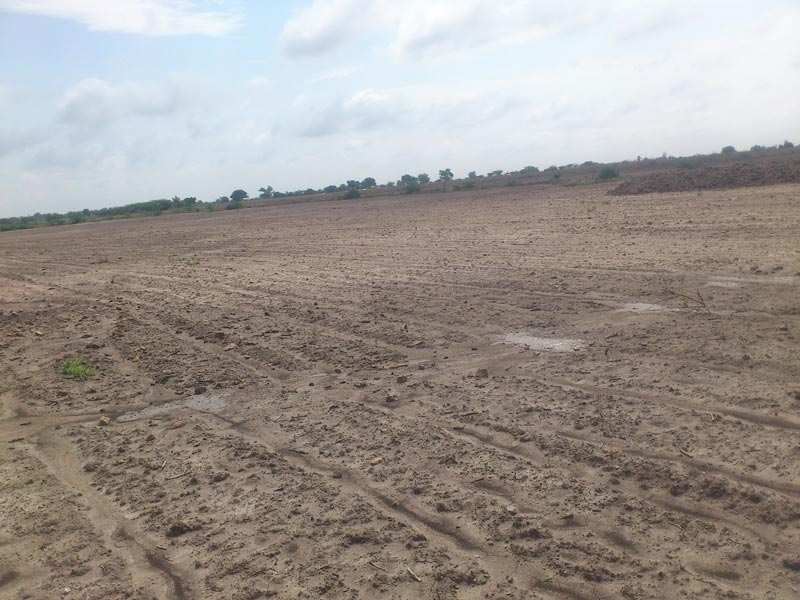 Agricultural/Farm Land for Sale in Tukwada, Vapi (8 Acre)