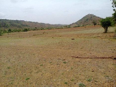 Agricultural/Farm Land for Sale in Gujarat (22 Acre)