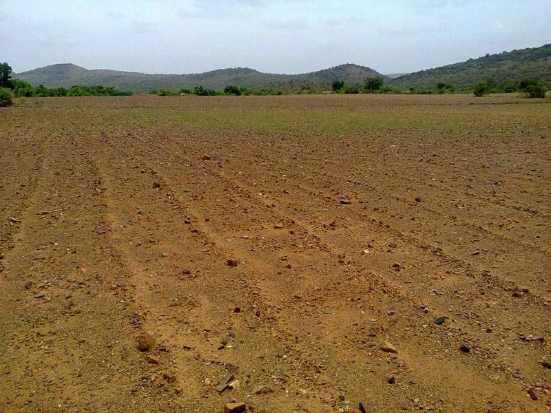 Agricultural/Farm Land for Sale in Gujarat (15000 Sq.ft.)