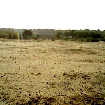Agricultural/Farm Land for Sale in Gujarat (7 Acre)
