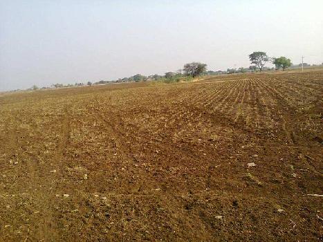 Agricultural/Farm Land for Sale in Gujarat (4 Acre)