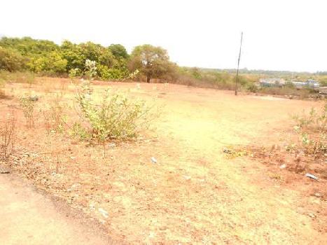 Agricultural/Farm Land for Sale in Gujarat (1.5 Acre)