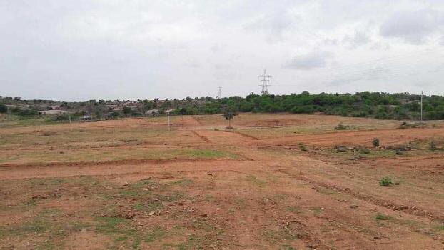 Agricultural/Farm Land for Sale in Gujarat (1 Acre)