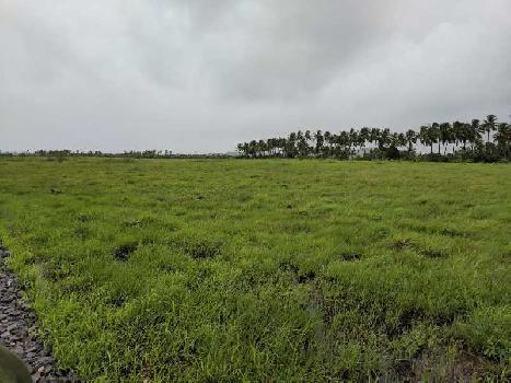 Agricultural/Farm Land for Sale in Gujarat (10 Acre)