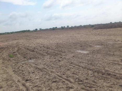 Agricultural/Farm Land for Sale in Jalalpore, Navsari (135 Bigha)
