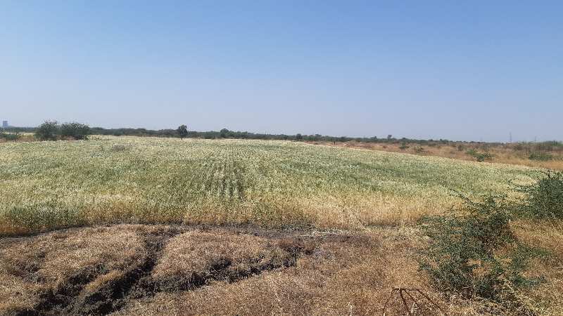 Farm land for sell in Dahej
