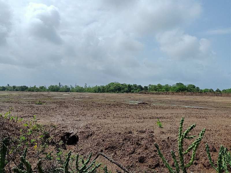 15 Acre Agricultural/Farm Land for Sale in Sarigam, Vapi