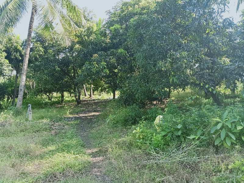 Agricultural/Farm Land for Sale in Pardi, Vapi (6 Acre)