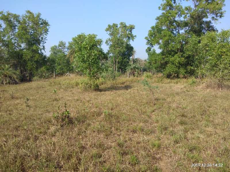 Agricultural/Farm Land for Sale in Bhilad, Vapi (5 Acre)