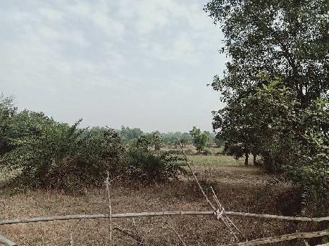 Agricultural/Farm Land for Sale in Bhilad, Vapi