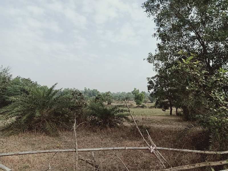 Agricultural/Farm Land for Sale in Bhilad, Vapi (16 Acre)