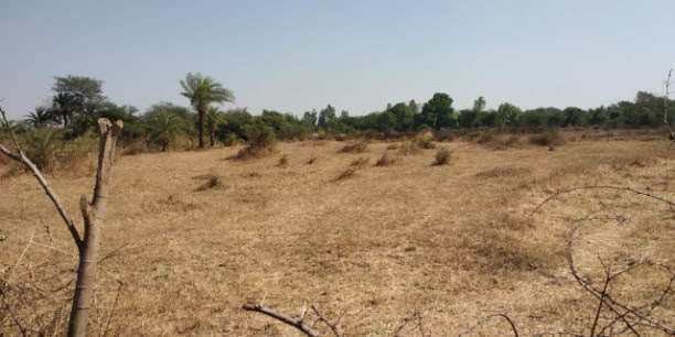 750 Acre Agricultural/Farm Land for Sale in Dahej GIDC, Bharuch
