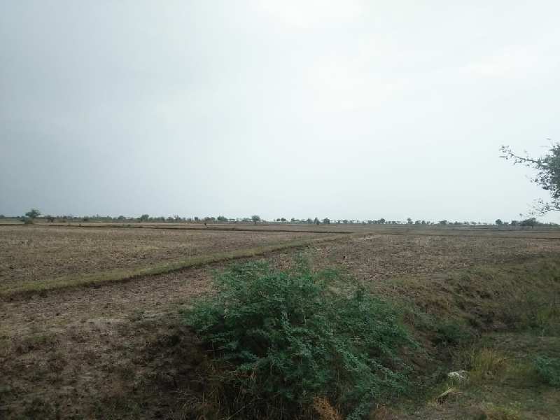 700 Acre Industrial Land / Plot for Sale in Dahej GIDC, Bharuch