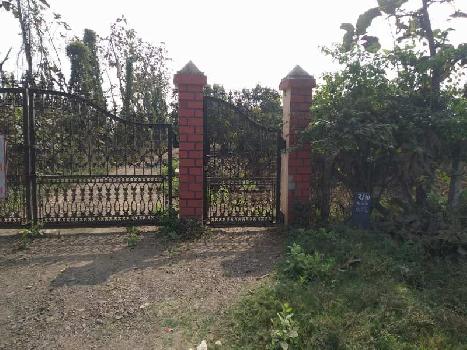 70 Bigha Agricultural/Farm Land for Sale in Chikhli, Navsari