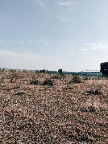 150 Acre Agricultural/Farm Land for Sale in Umbergaon, Valsad