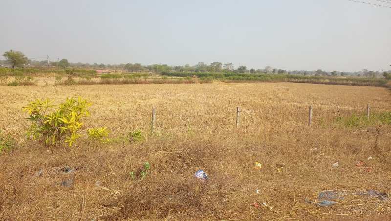 2.5 Acres plot in Main Road Ghutku Bilaspur