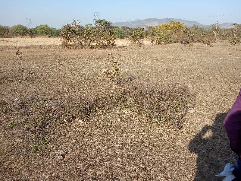 2 Acres Agricultural Land 21 Kms from Bilaspu