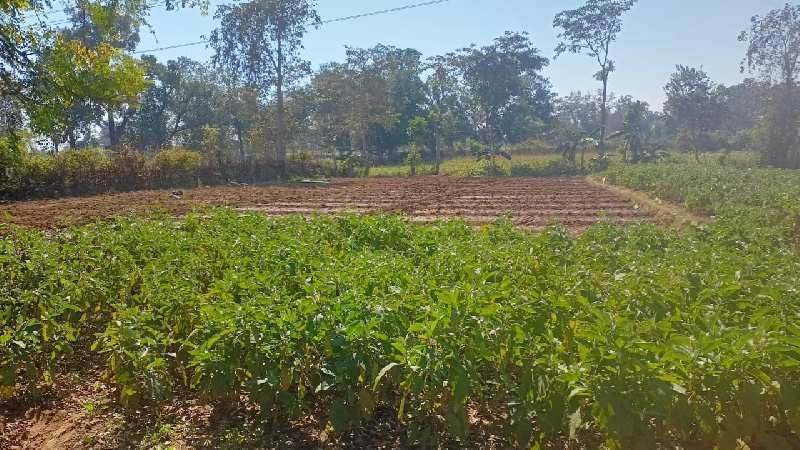 1 Acre Agricultural Land in Sipat Bilaspur