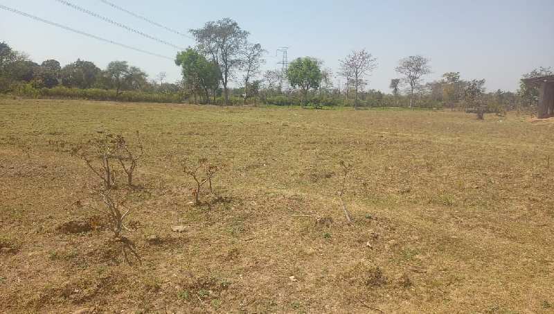 5 Acres Land in Seepat Bilaspur