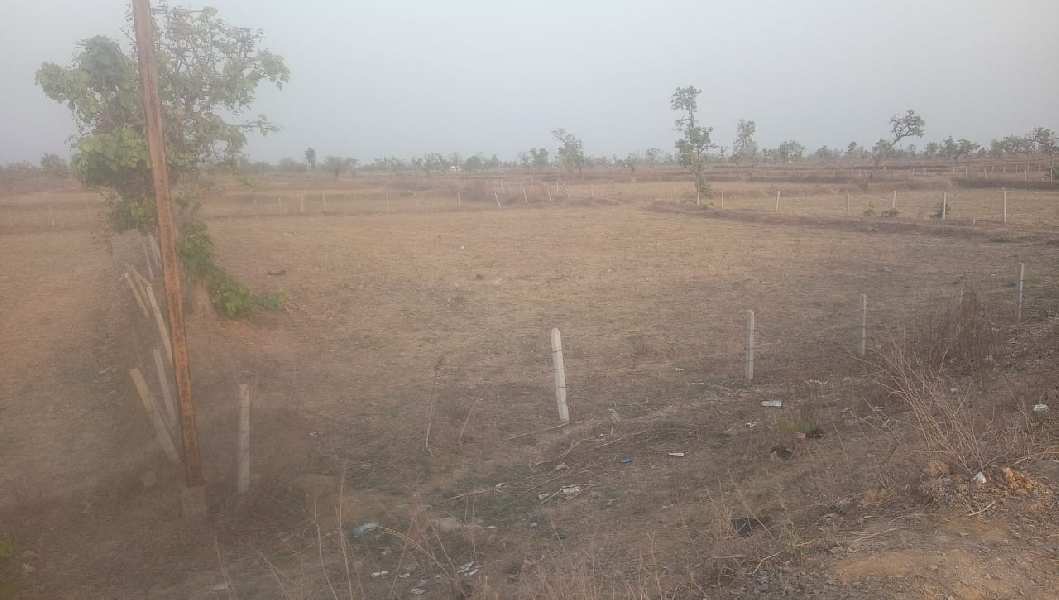 2.5 Acres in Baitalpur connected with National Highway
