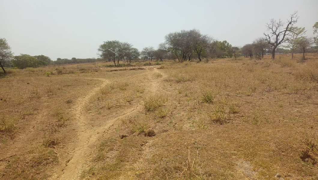 25 Acres Land in Seorinarayan