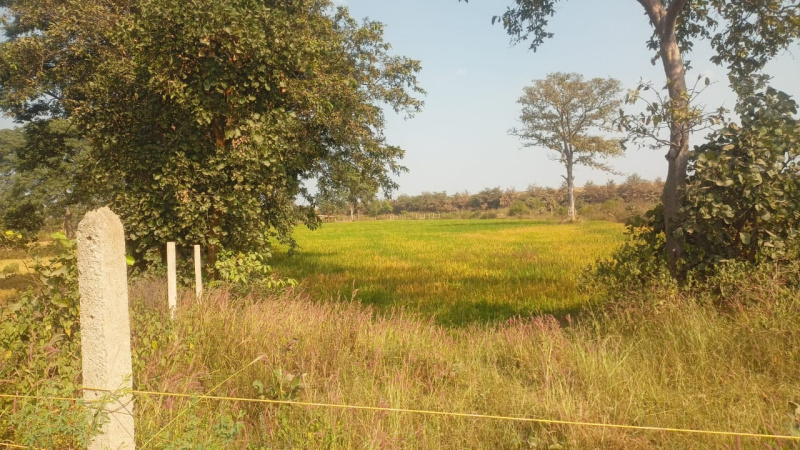 5 Acres Agricultural Farm in Bilaspur