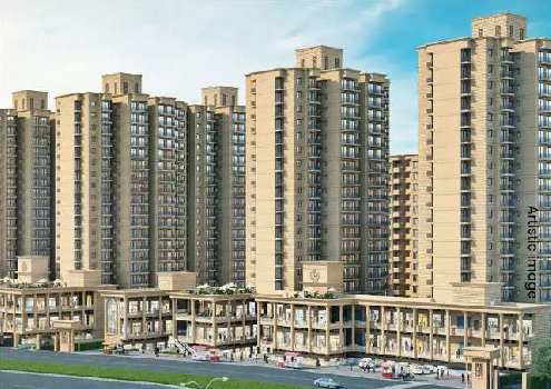 5 BHK Flats & Apartments for Sale in Sector 106, Gurgaon (4100 Sq.ft.)