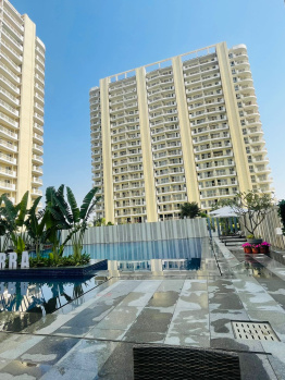 3 BHK Flats & Apartments for Sale in Sector 37D, Gurgaon