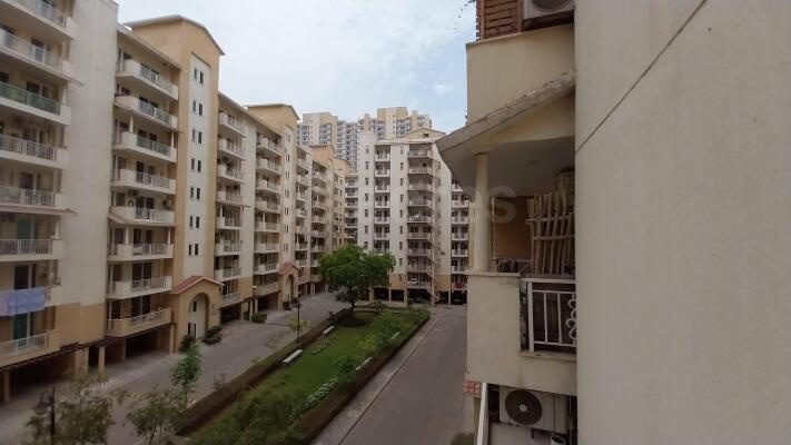 3 BHK Flats & Apartments for Rent in Sector 77, Gurgaon (1450 Sq.ft.)