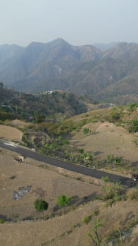 10800 Sq.ft. Agricultural/Farm Land for Sale in Doctor Colony, Rishikesh