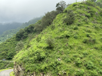 Property for sale in Yamkeshwar, Pauri Garhwal