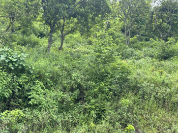 Property for sale in Yamkeshwar, Pauri Garhwal