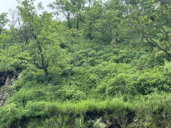 Property for sale in Yamkeshwar, Pauri Garhwal