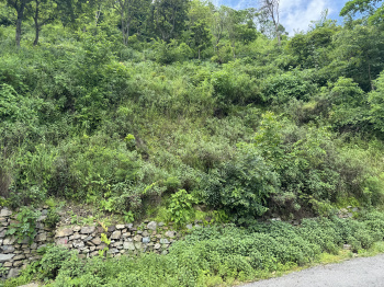 Property for sale in Yamkeshwar, Pauri Garhwal