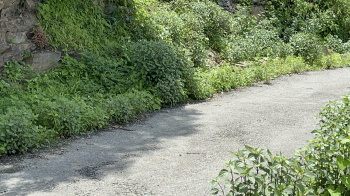 Property for sale in Yamkeshwar, Pauri Garhwal