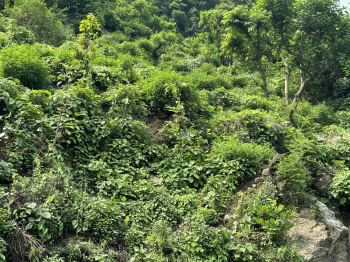 Property for sale in Shivpuri, Rishikesh