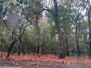 Property for sale in Ranipokhari, Dehradun