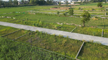 1000 Sq. Yards Residential Plot for Sale in Shyampur, Rishikesh